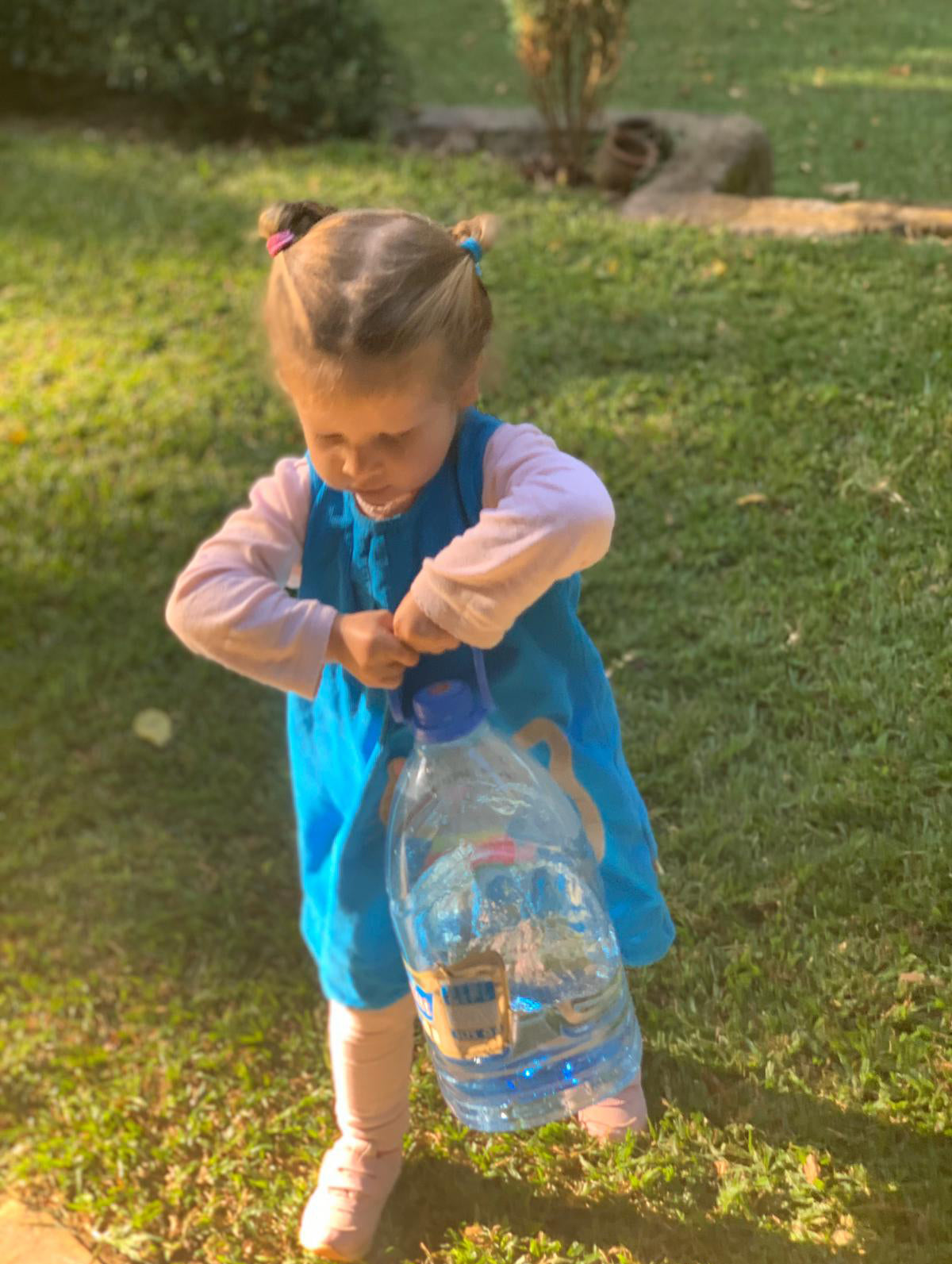 Aslan Kralın Ülkesinden Merhaba!