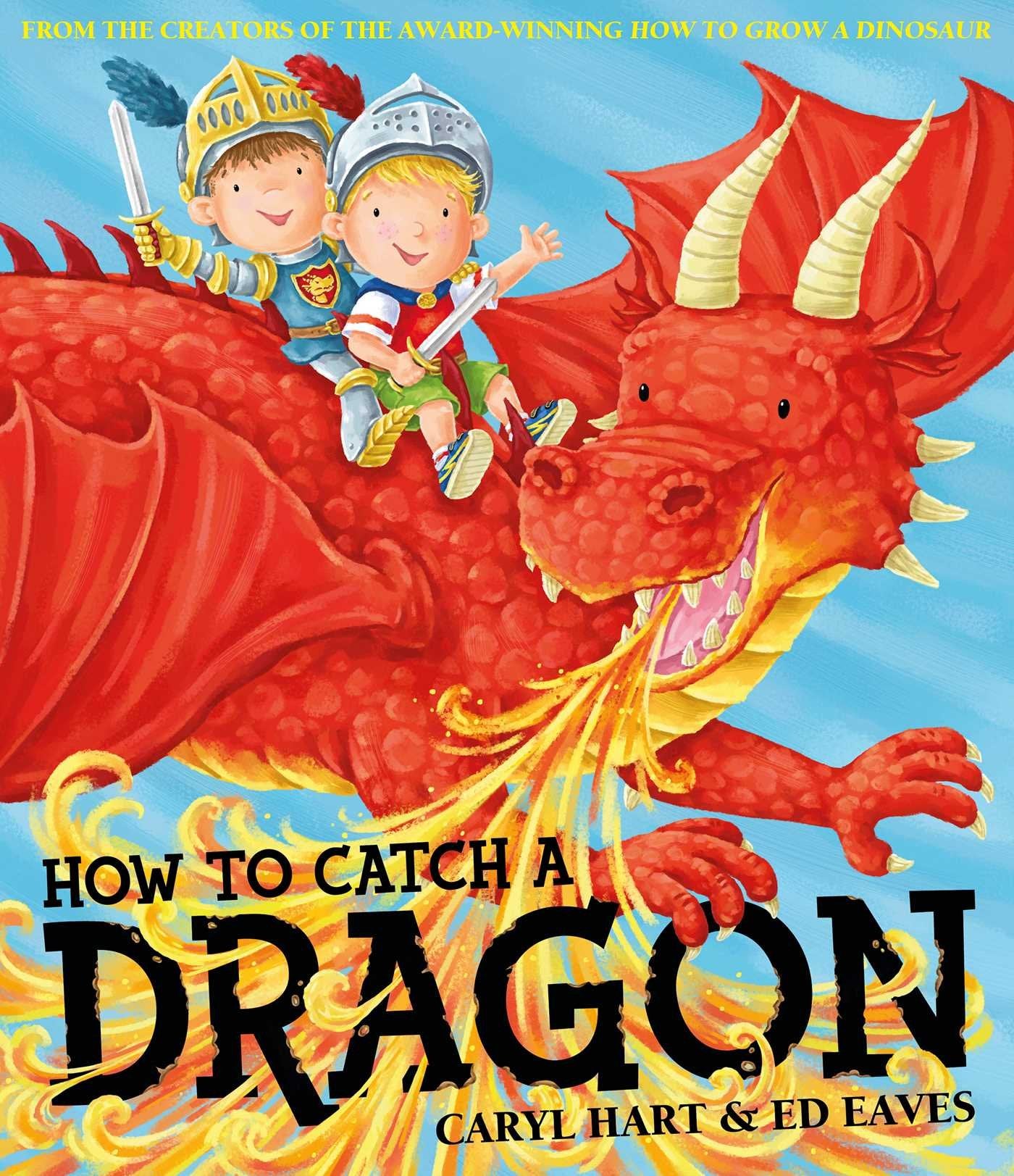 How To Catch A Dragon  kapak resmi KartonKinder KartonKinder