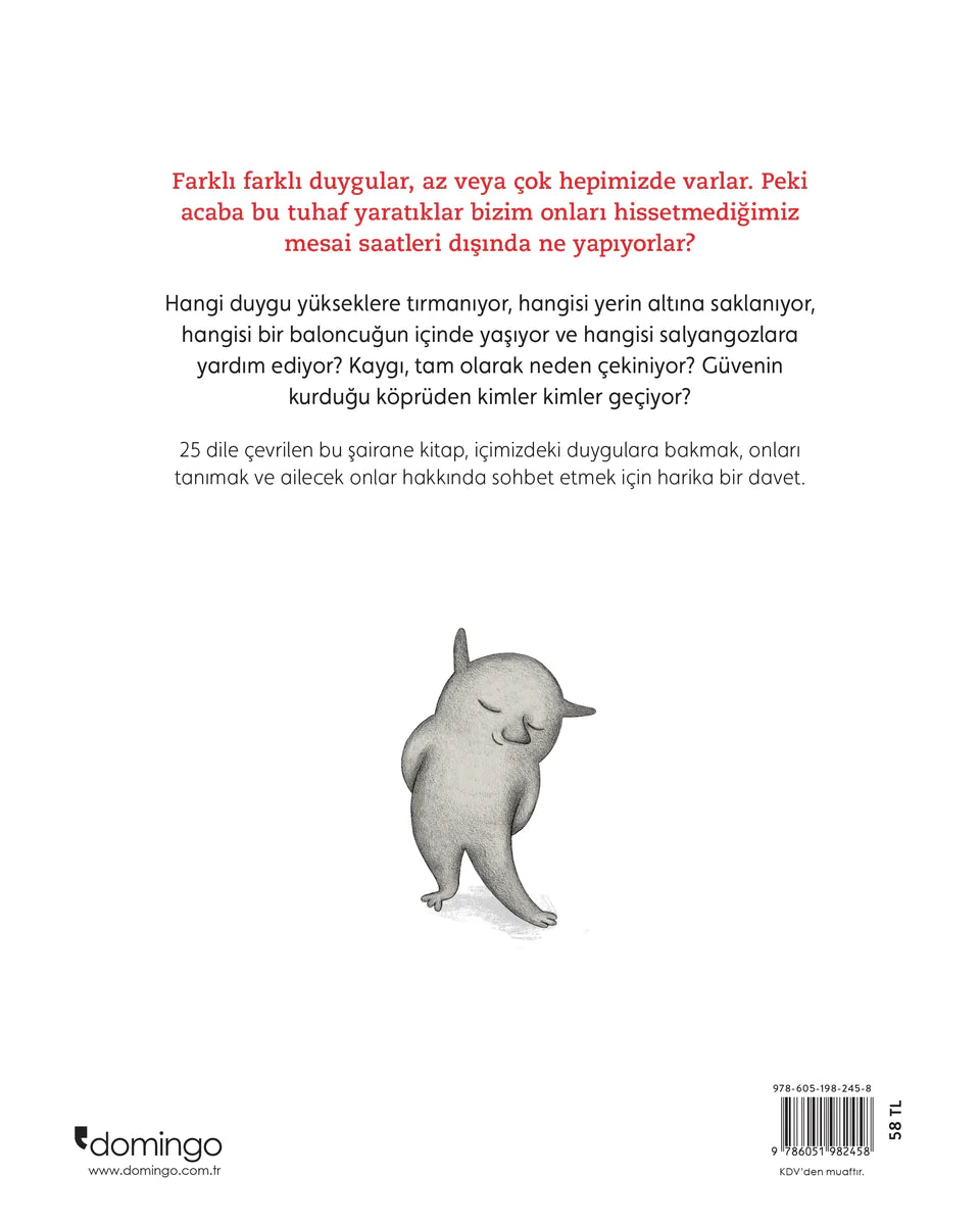 Kimse Bakmazken Duygular Ne Yapar?  kapak resmi Domingo Yayınları KartonKinder