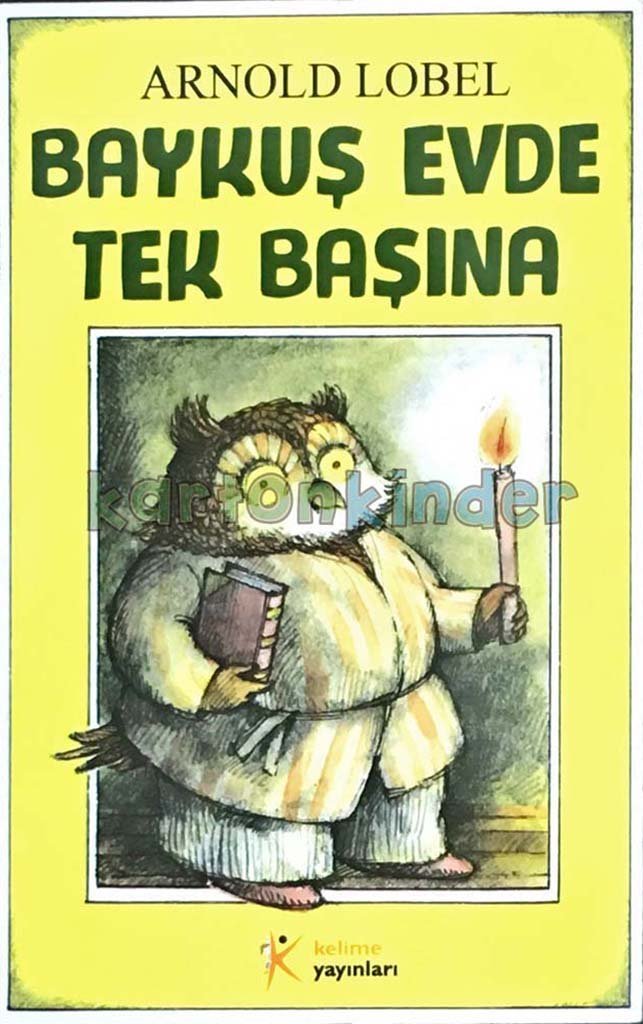 Baykuş Evde Tek Başına  kapak resmi Kelime Yayınları KartonKinder