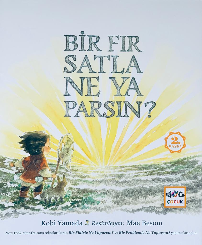 Bir Fırsatla Ne Yaparsın?  kapak resmi Nar Yayınları KartonKinder