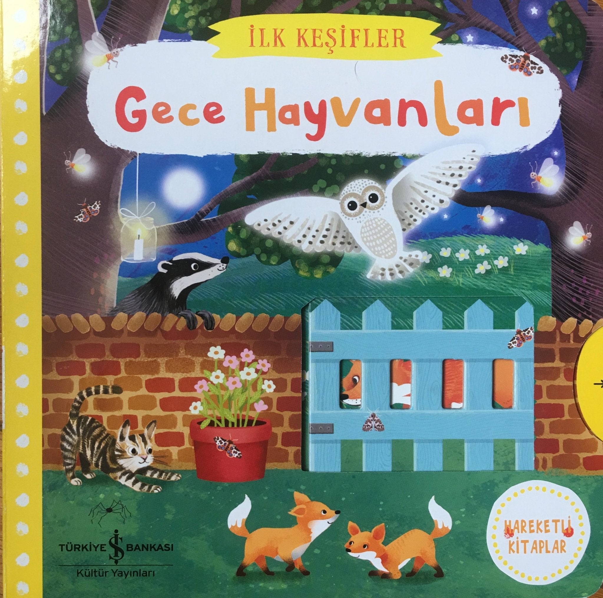 Gece Hayvanları-Hareketli kitap  kapak resmi KartonKinder KartonKinder