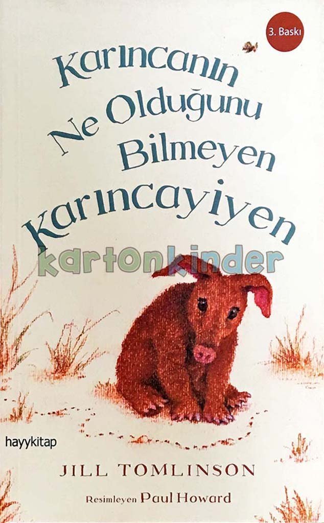 Karıncanın Ne Olduğunu Bilmeyen Karıncayiyen  kapak resmi Hayykitap KartonKinder
